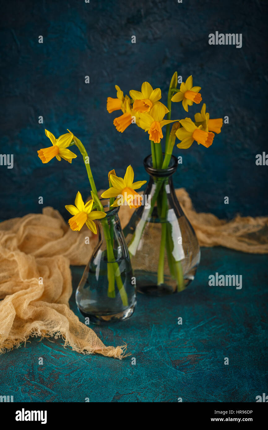 Molla luminoso giallo daffodils in miniatura in vasi di vetro Foto Stock