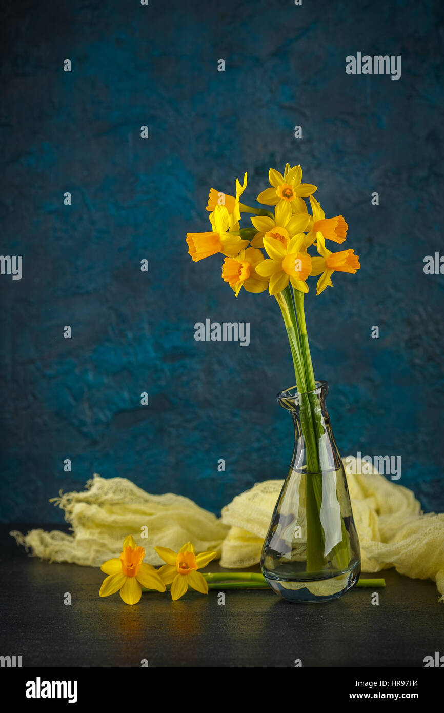 Molla luminoso giallo daffodils in miniatura in vasi di vetro Foto Stock