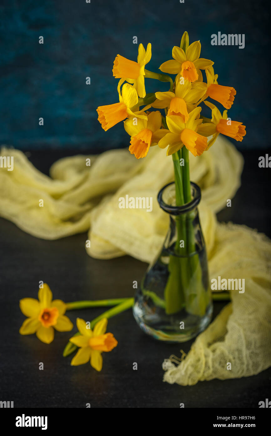 Molla luminoso giallo daffodils in miniatura in vasi di vetro Foto Stock