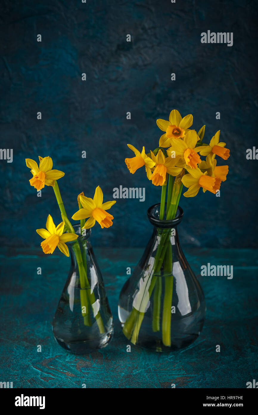 Molla luminoso giallo daffodils in miniatura in vasi di vetro Foto Stock