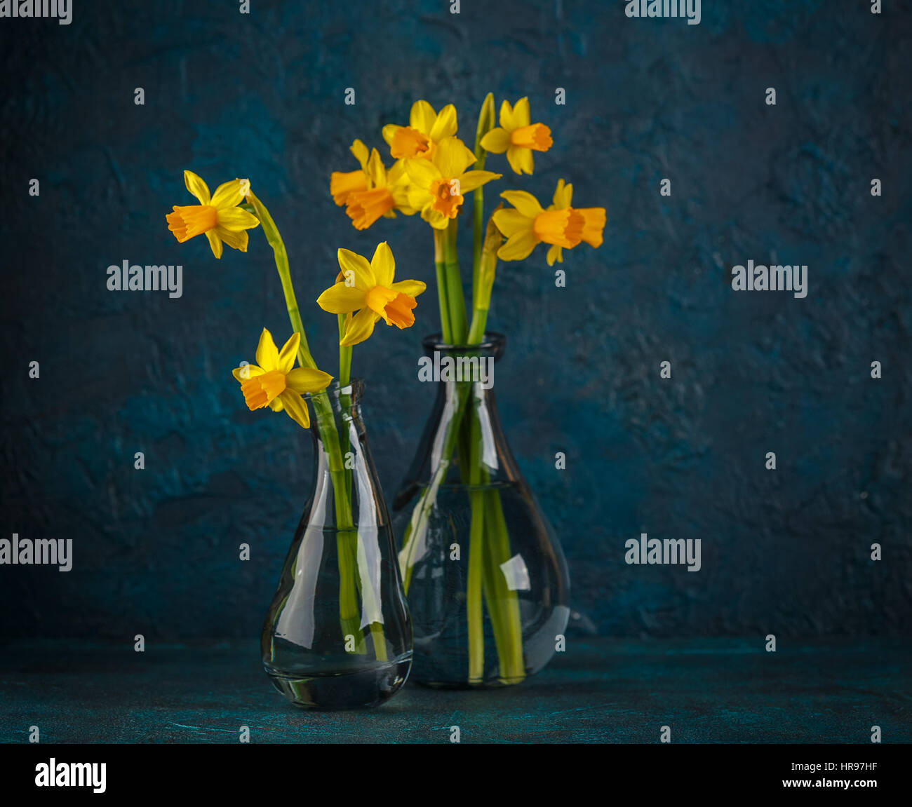 Molla luminoso giallo daffodils in miniatura in vasi di vetro Foto Stock