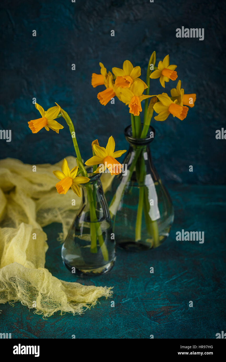 Molla luminoso giallo daffodils in miniatura in vasi di vetro Foto Stock
