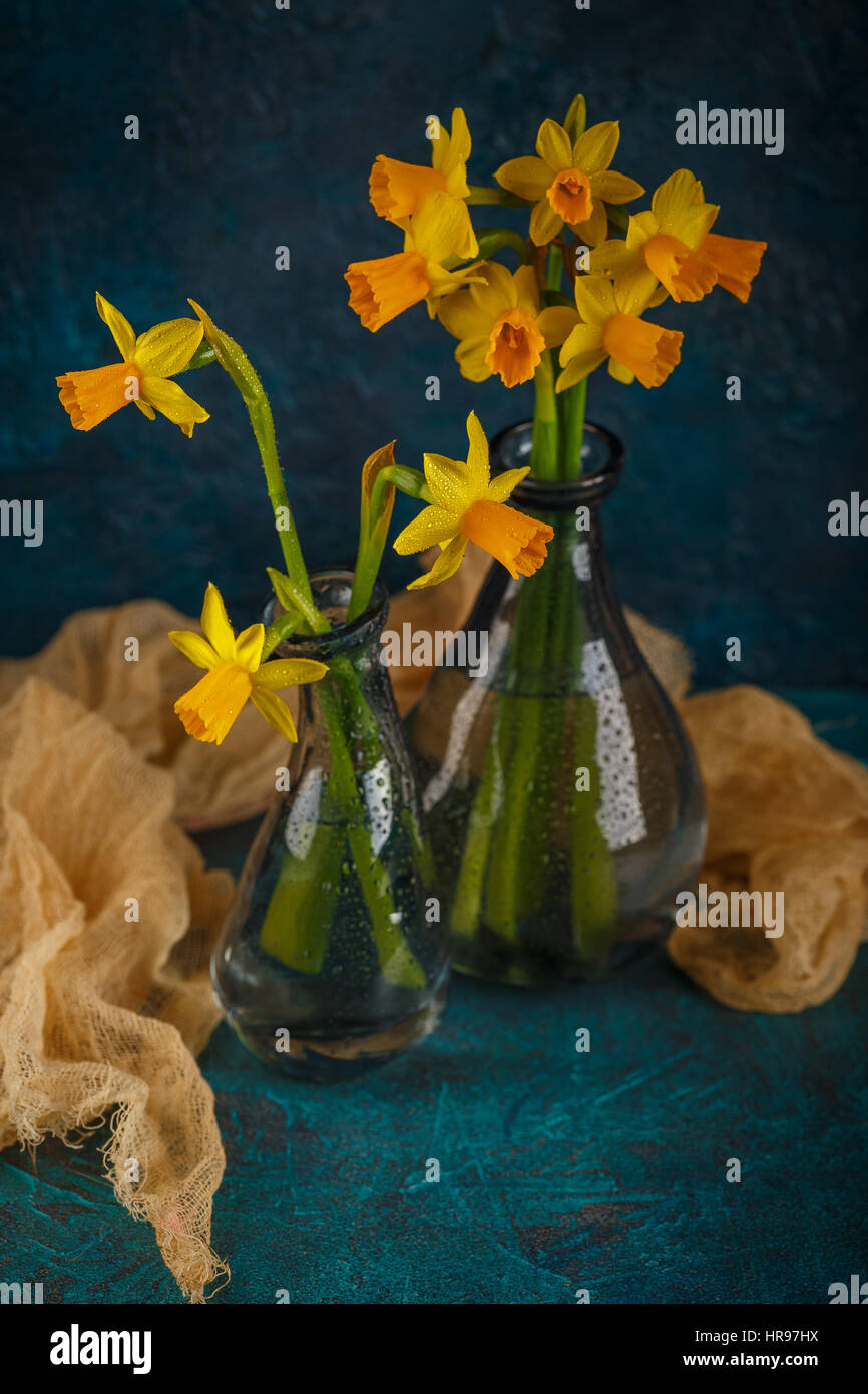 Molla luminoso giallo daffodils in miniatura in vasi di vetro Foto Stock