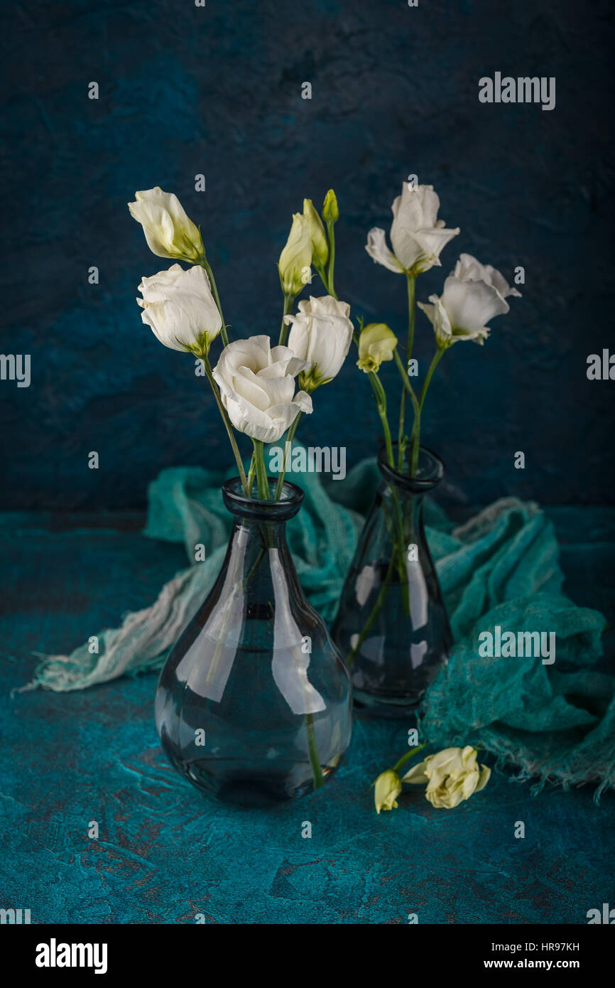 Bouquet di eustoma bianco fiori in vasi di vetro su sfondo blu scuro Foto Stock