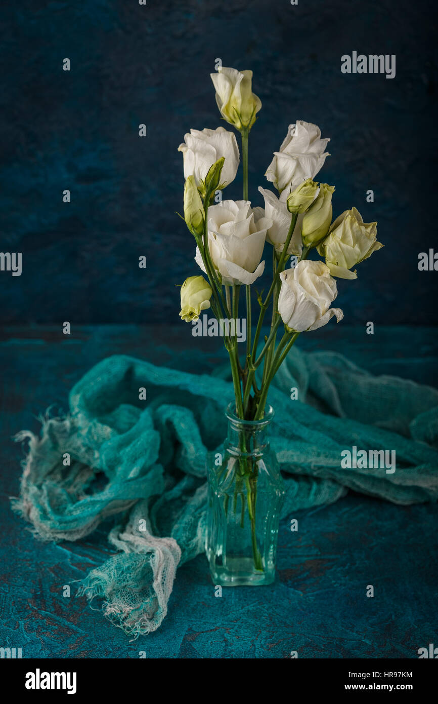 Bouquet di eustoma bianco fiori in vasi di vetro su sfondo blu scuro Foto Stock