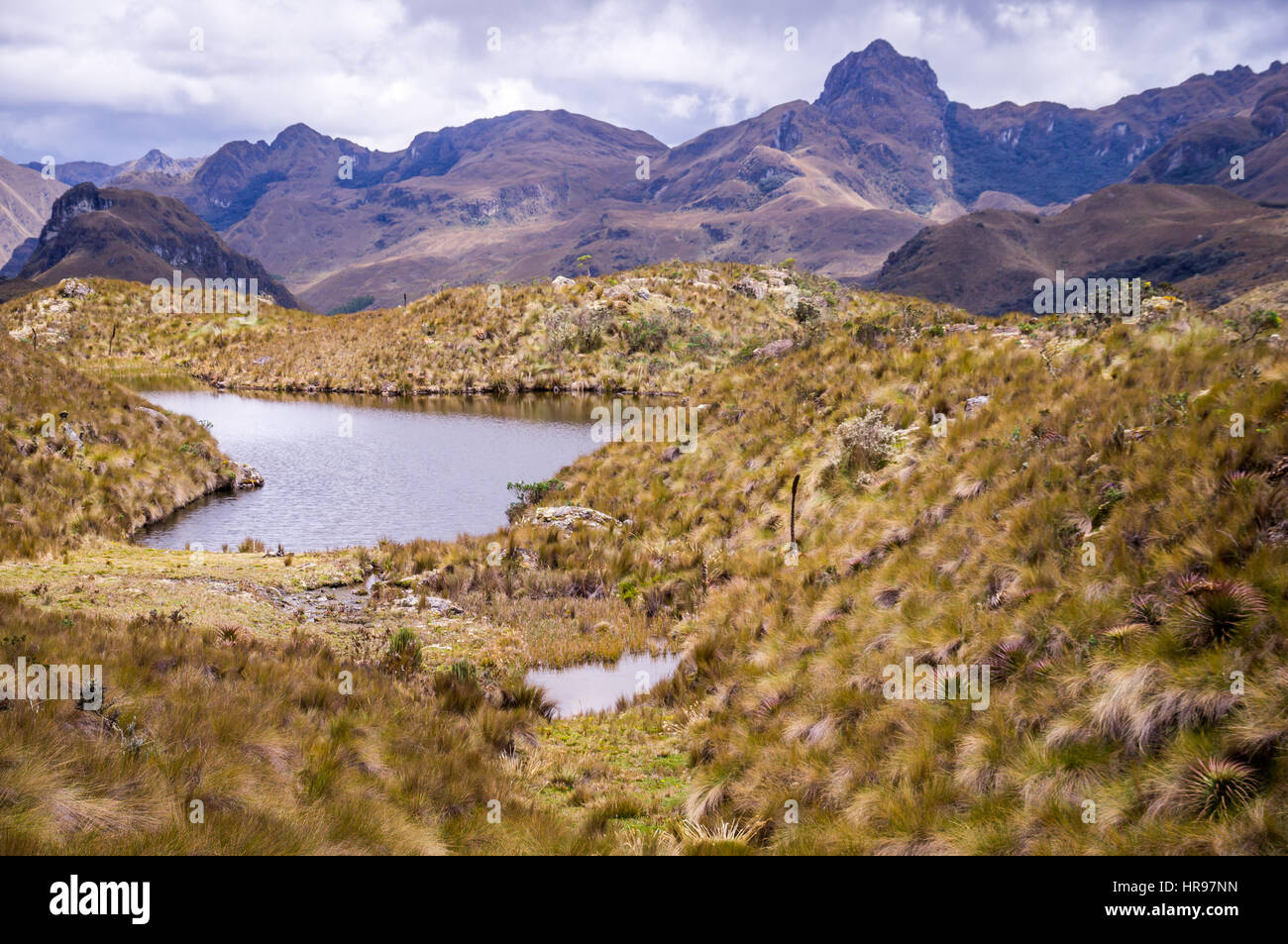 Paesaggio con lago nel Parco Nazionale Cajas, Cuenca, Ecuador Foto Stock