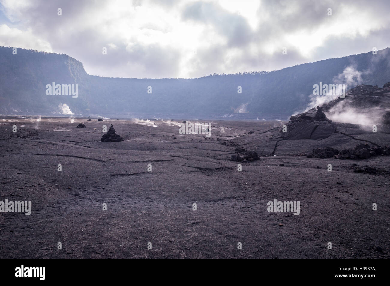 Vista di fumatori cratere grande nel Parco Nazionale dei Vulcani, Big Island delle Hawaii, US Foto Stock