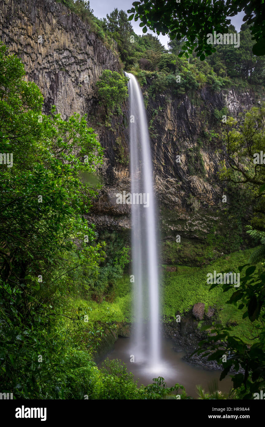 Bridal Veil Falls, Isola del nord, Nuova Zelanda Foto Stock
