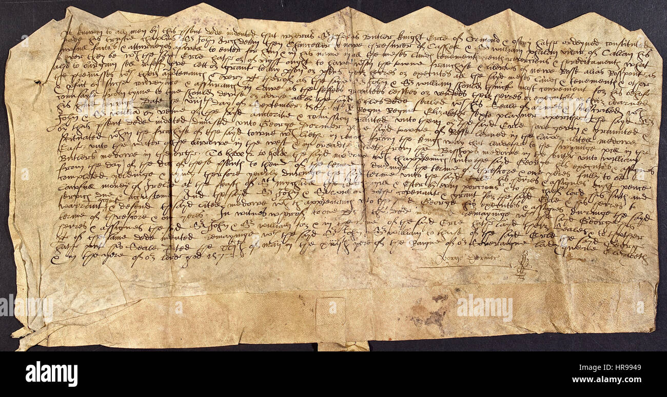 Documento da New Ross, Irlanda concernente l'acquisizione nel 1572 da George abbaino di un campo. Una versione dattiloscritta del Tudor Inglese è in "opzionale". Foto Stock