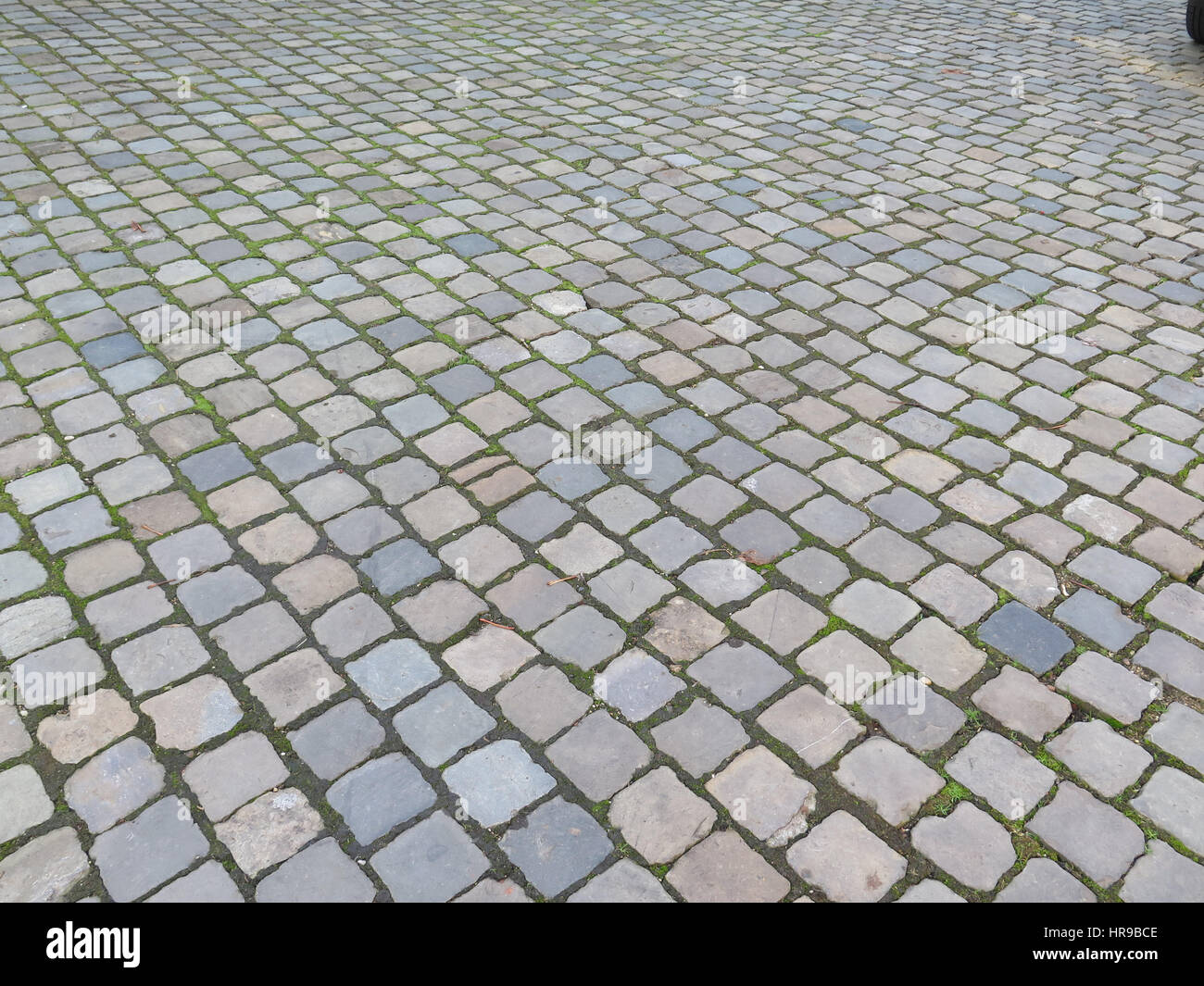 Pietra di ciottoli pattern in piazza cittadina di Valkenburg, Olanda Foto Stock