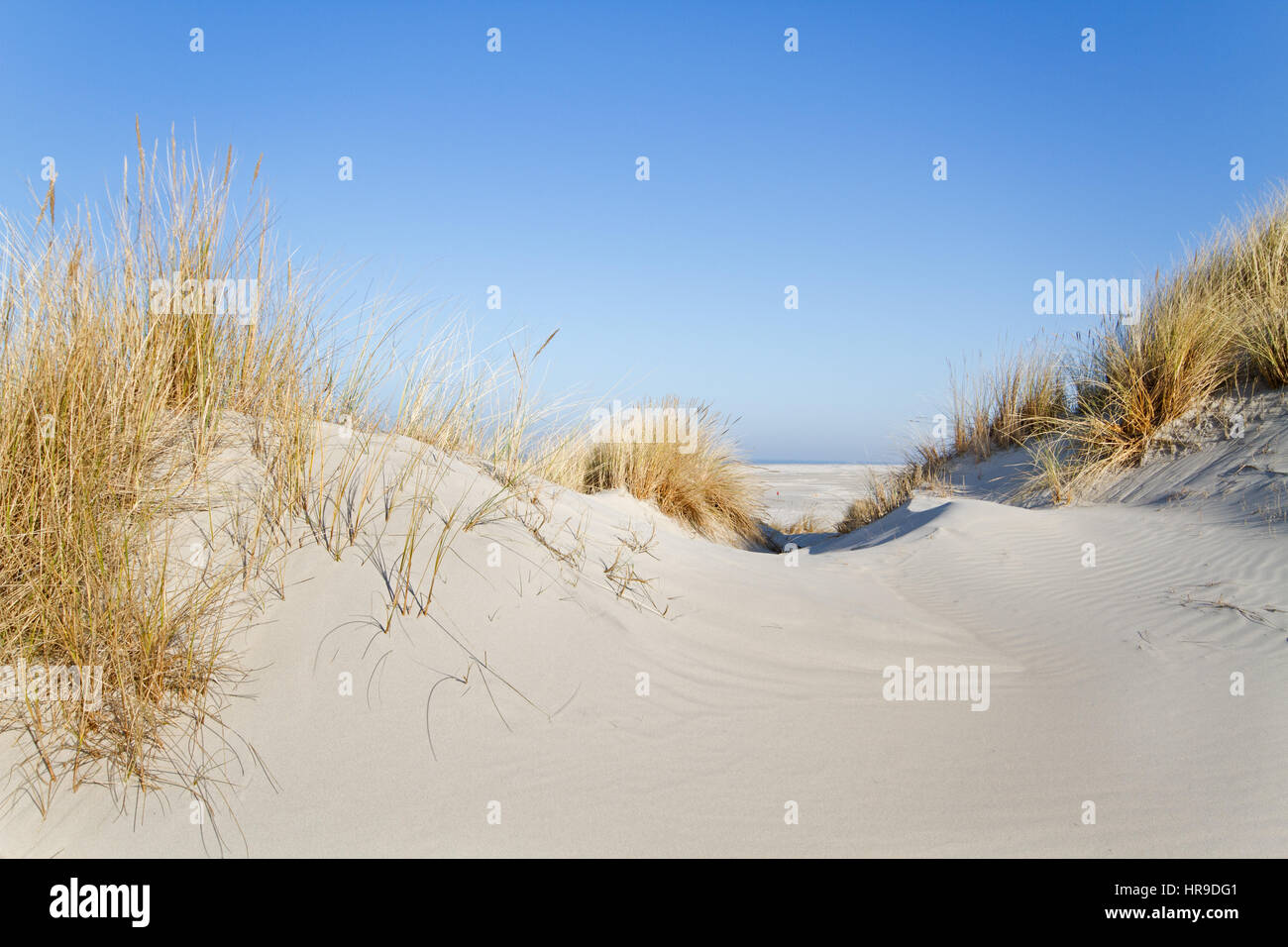 Vista sulla spiaggia e sul mare tra due dune cresciuto con erba Marram Foto Stock Vista sulla spiaggia e sul mare tra due dune cresciuto con erba Marram Foto Stock