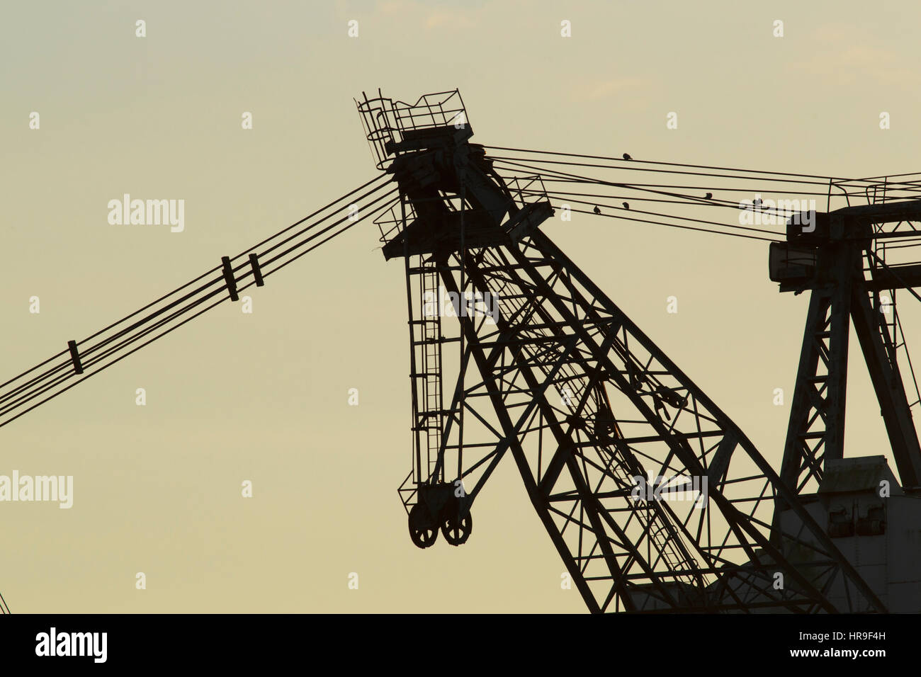 Close up dragline noto come 'odball', in silhouette, sul sito della ex a cielo aperto della miniera di carbone, San Aidans RSPB Riserva, West Yorkshire, Inghilterra, Novembe Foto Stock