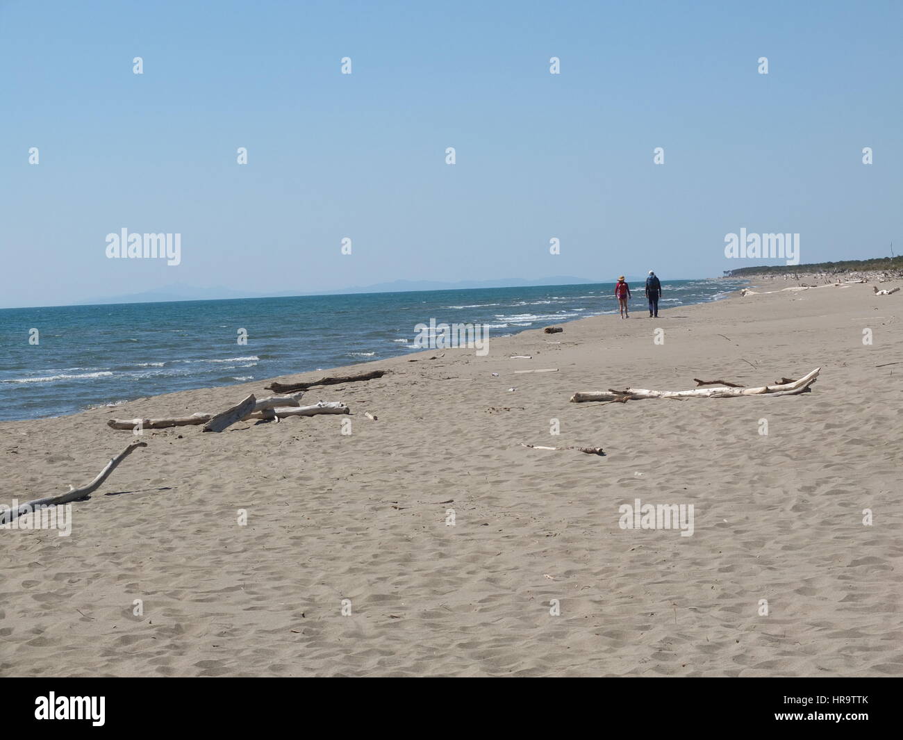 Spiaggia al parco naturale della Maremma Toscana, Italia Foto Stock