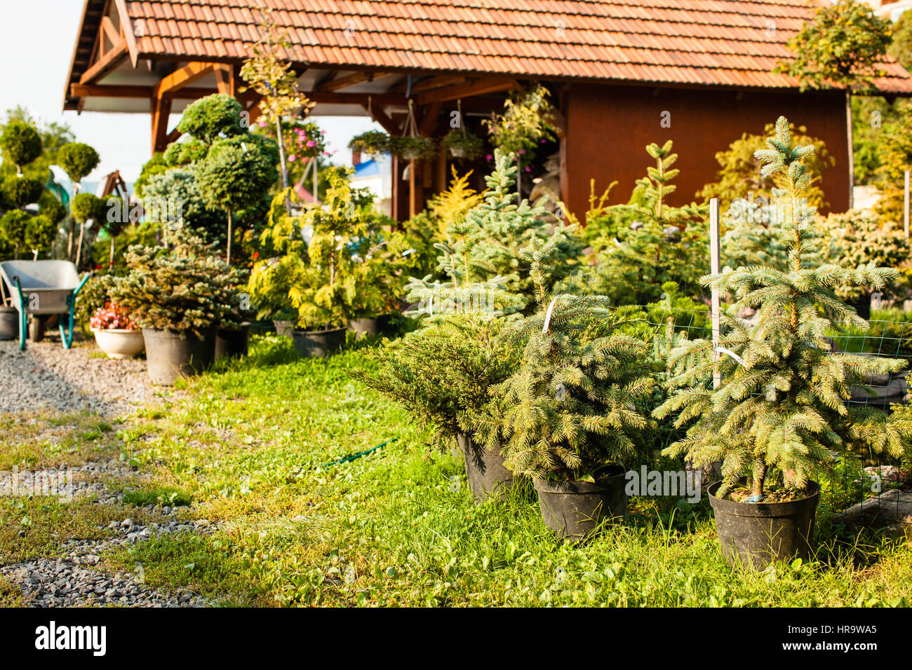 Giardino all'aperto del mercato Foto Stock