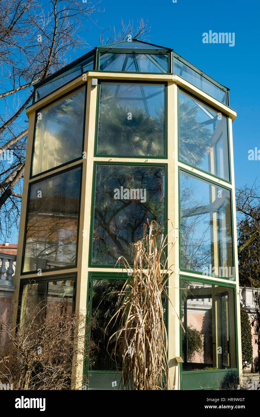 Orto botanico di Padova; Goethe palm Foto Stock