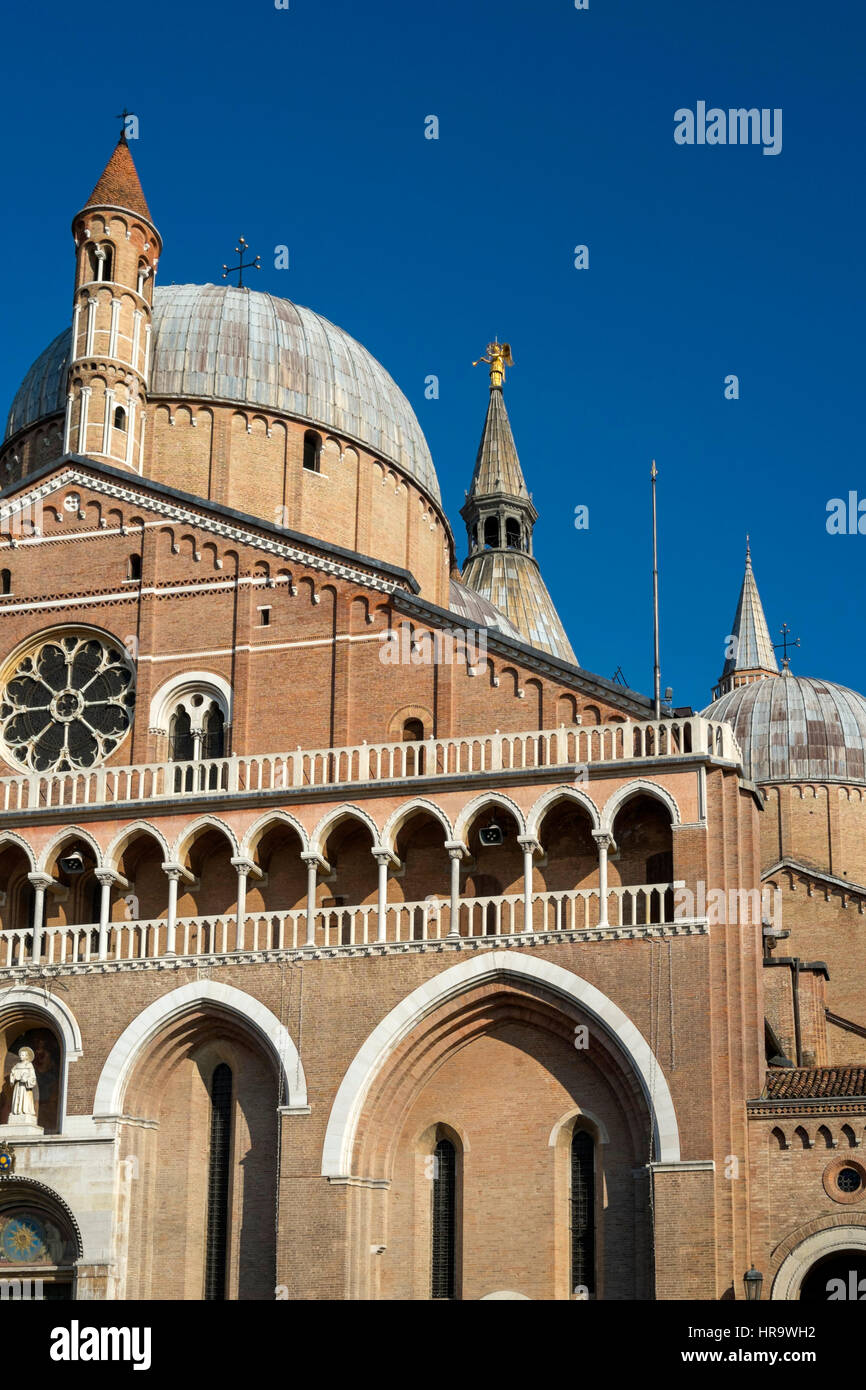 Basilica di San Antonio a Padova Foto Stock