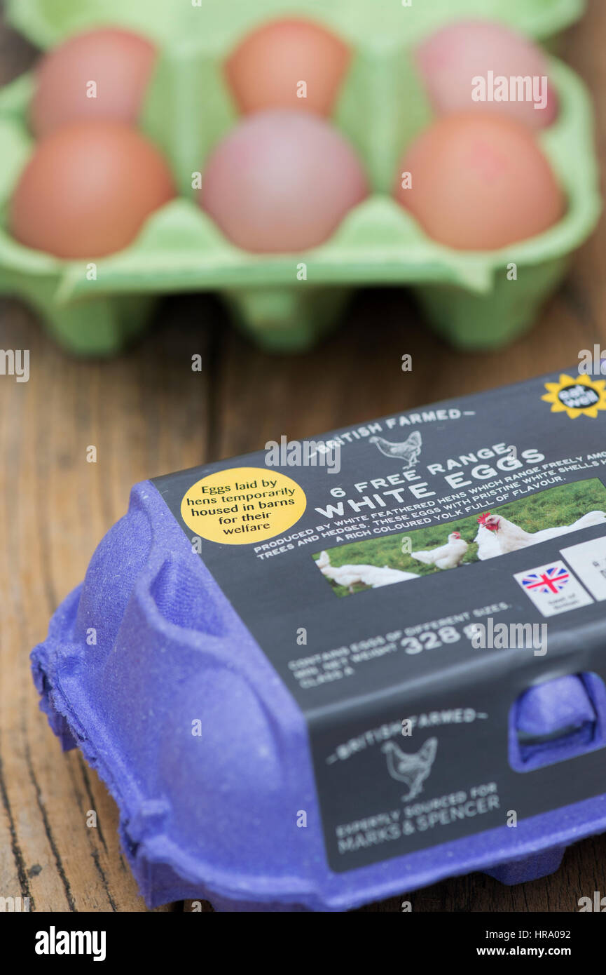 Un adesivo su una scatola di intervallo libero uova spiegando le galline alloggiato in stalle per il loro benessere durante l epidemia di influenza aviaria nel Regno Unito Foto Stock Un adesivo su una scatola di intervallo libero uova spiegando le galline alloggiato in stalle per il loro benessere durante l epidemia di influenza aviaria nel Regno Unito Foto Stock