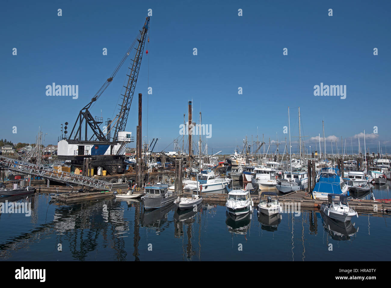 Il vivace porto peschereccio di Francese Creek vicino a Parksville sull'Isola di Vancouver in fase di sostituzione del vecchio porto di pile. Foto Stock