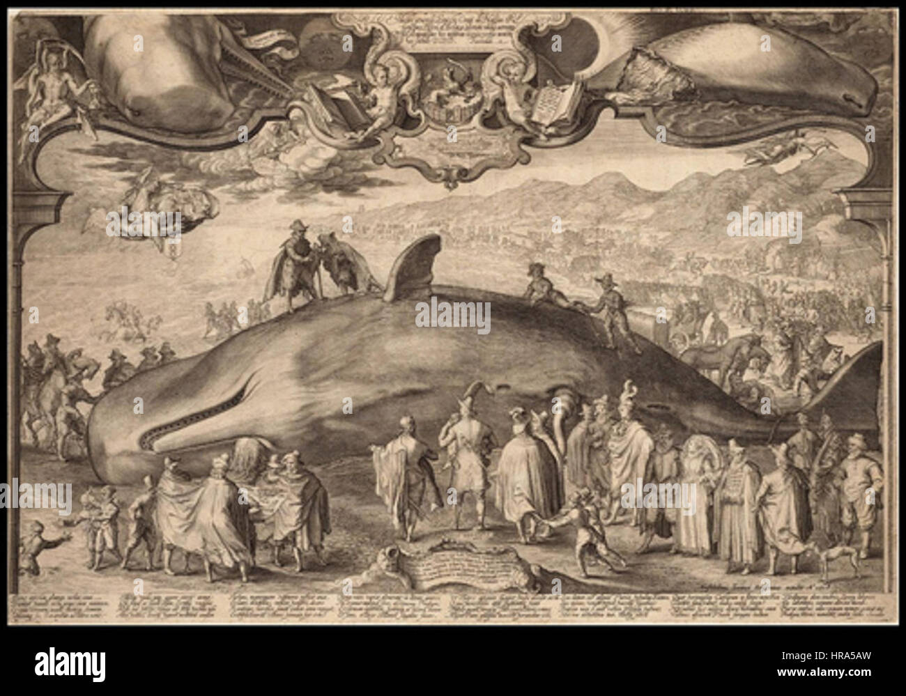 Jan Saenredam, un incisore olandese, ha creato questa illustrazione di una creatura mostruosa del 1602. Foto Stock