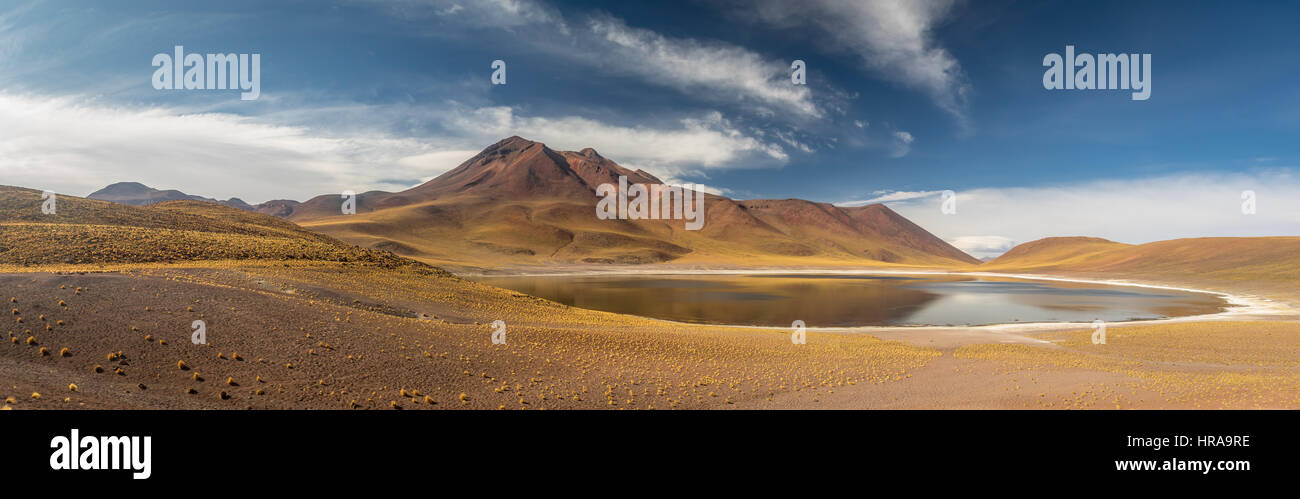 Laguna Miscanti e montagne del Deserto di Atacama - Cile Foto Stock