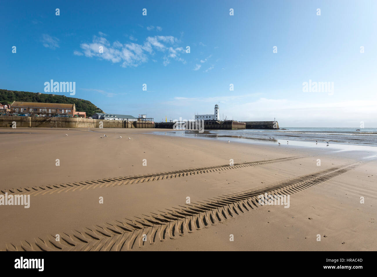 Le tracce nella sabbia accanto a Scarborough harbour una località balneare sulla costa orientale dell'Inghilterra. Foto Stock