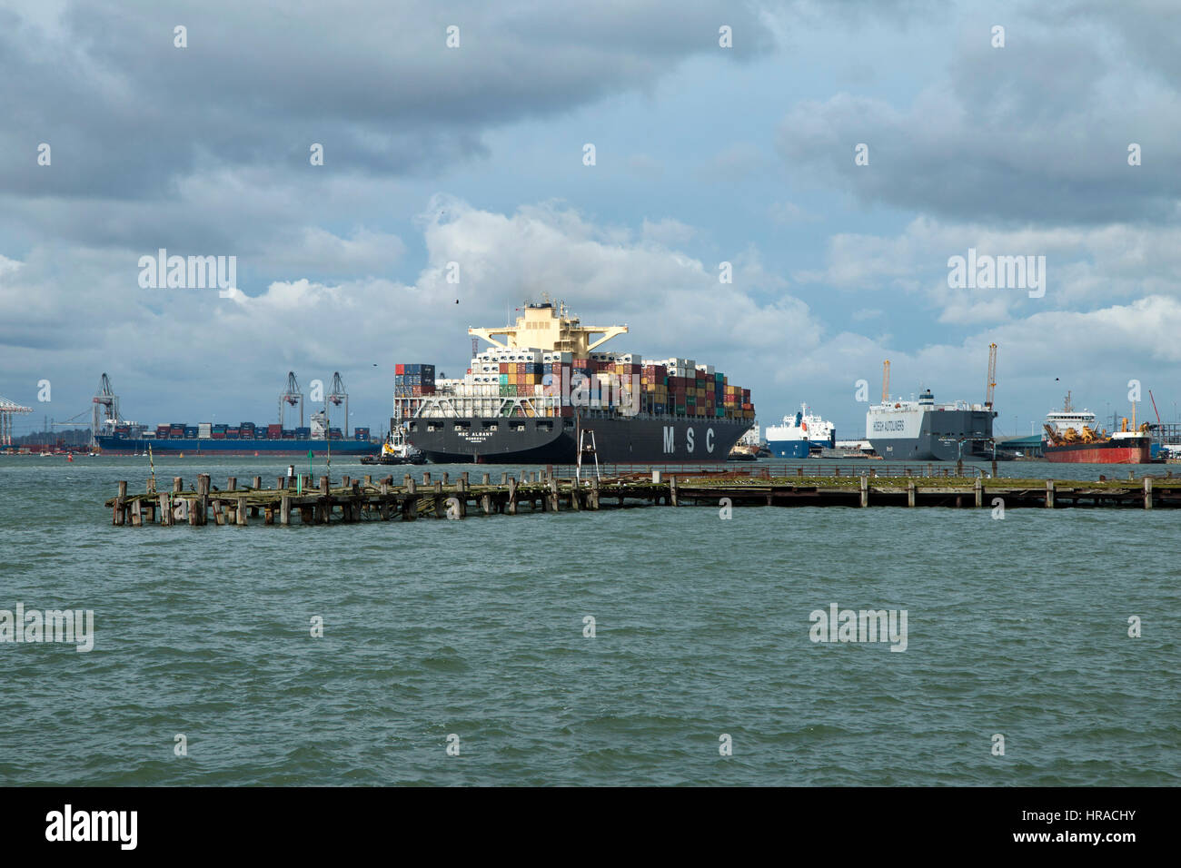 MSC nave portacontainer Albany arrivando a Southampton il 28 Febbraio 2017 da Tangeri frequentato da due barche rimorchiatore Foto Stock