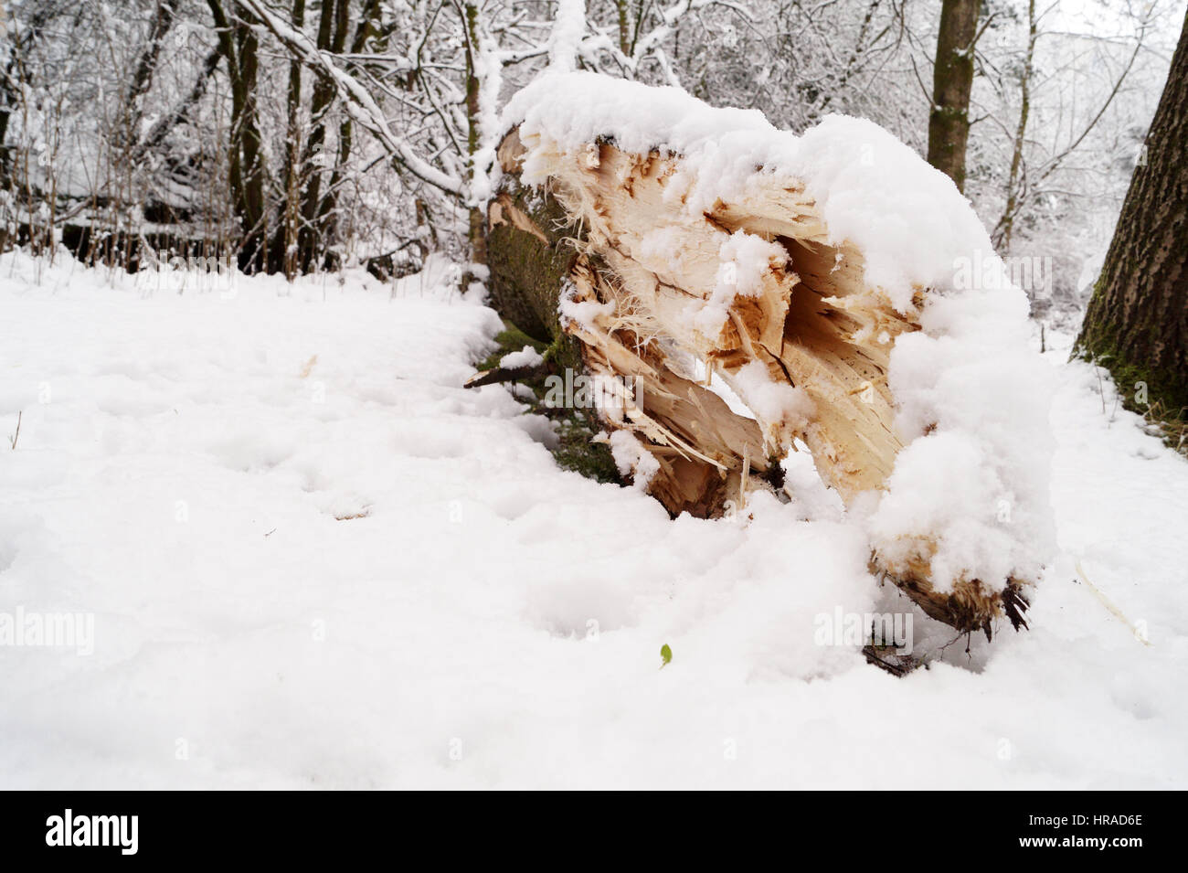 Strathaven nella neve Foto Stock