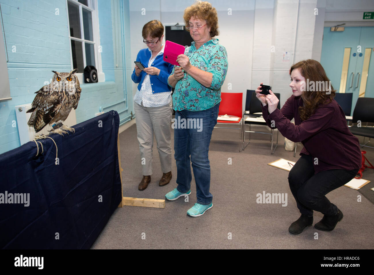 Le persone che frequentano una serata di vita arte disegno disegno classe Bengala eagle-civette e altri animali selvatici, London, Regno Unito Foto Stock
