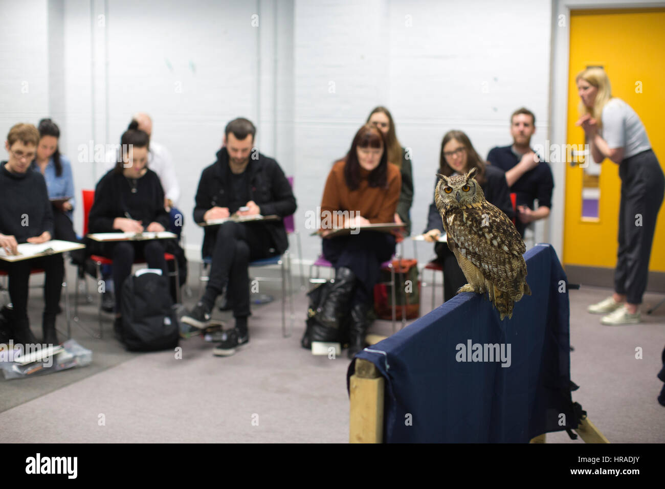 Le persone che frequentano una serata di vita arte disegno classe gestito da Jennie Webber (31), disegno Bengala eagle-civette e altri animali selvatici, London, Regno Unito Foto Stock