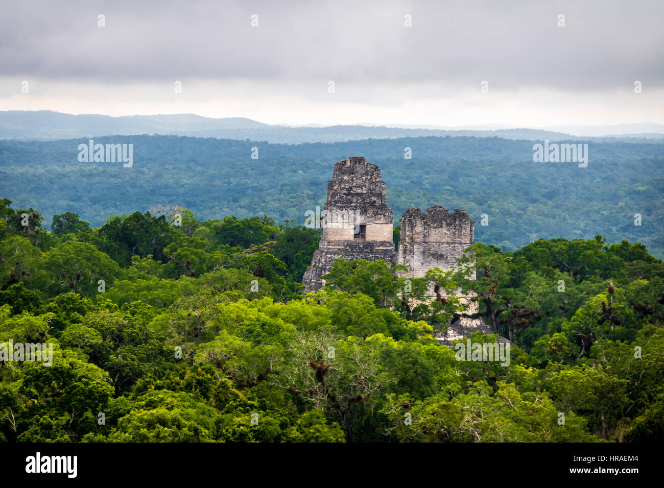 Top di templi maya al Parco Nazionale di Tikal - Guatemala Foto Stock