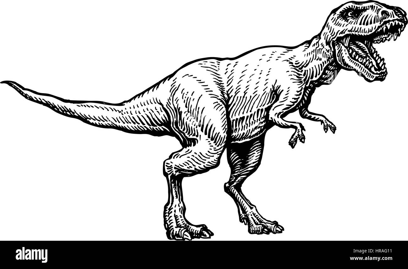 Arrabbiato Tyrannosaurus rex con aprire bocca enorme, schizzo. Disegnate a mano dinosauro carnivoro. Animale illustrazione vettoriale Illustrazione Vettoriale