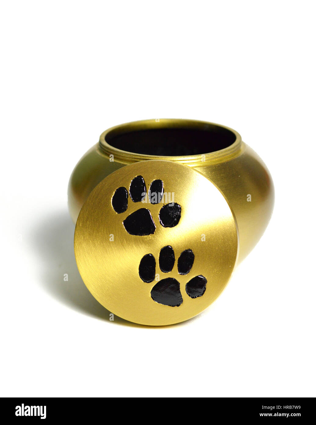 Urna funeraria per animali domestici dopo la cremazione. Foto Stock