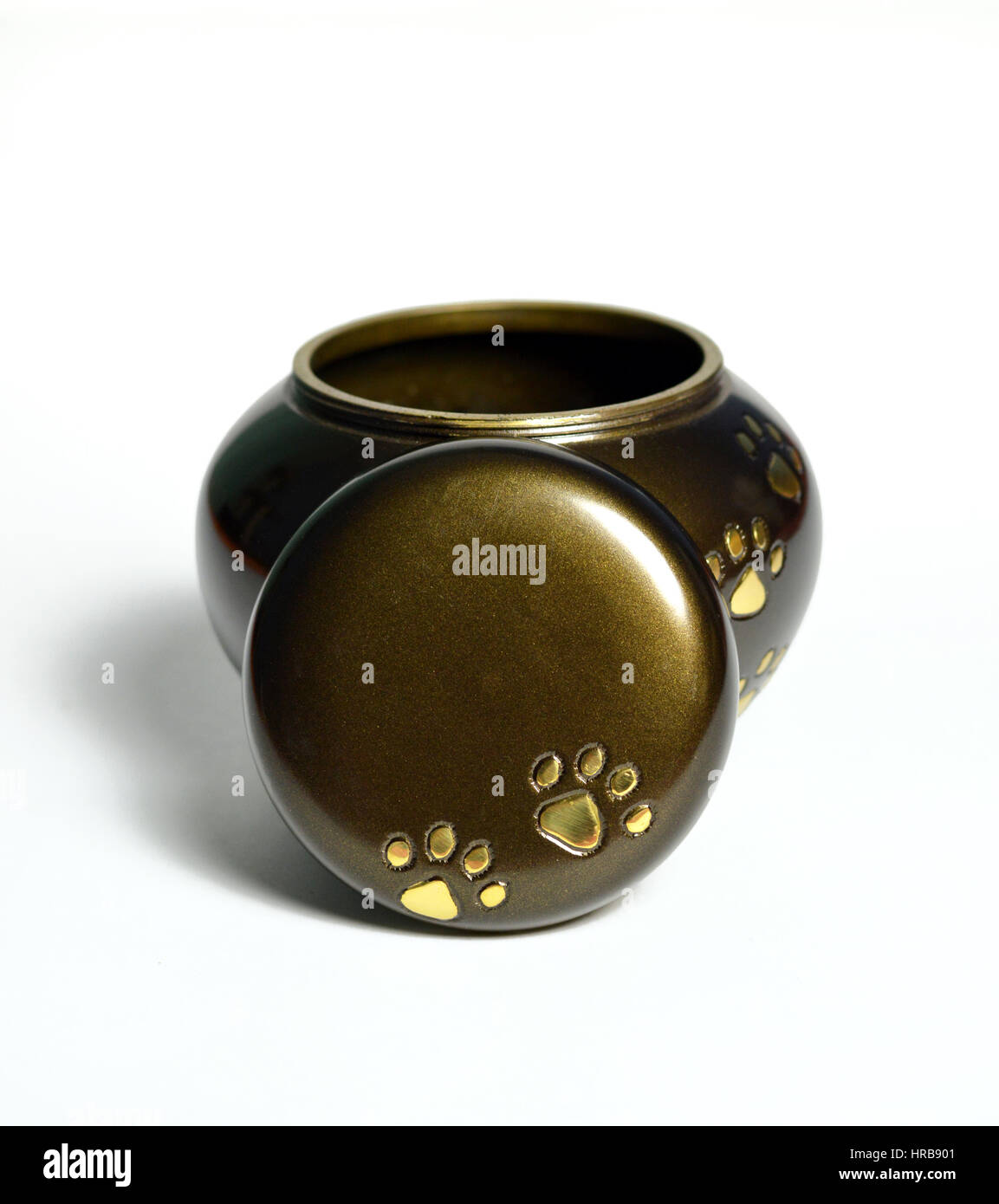 Urna funeraria per animali domestici dopo la cremazione. Foto Stock