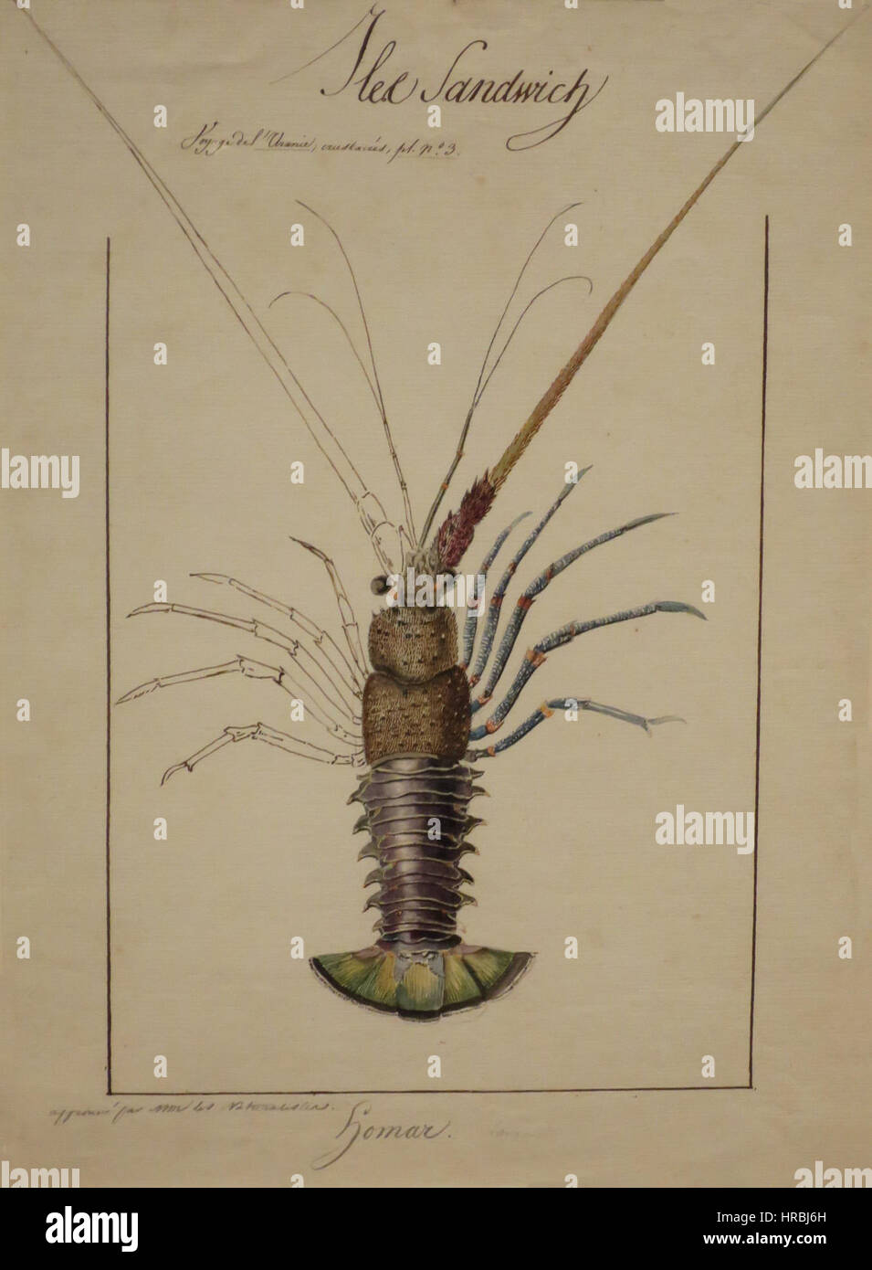Adrien Taunay il Giovane, "Hawaiian Lobster", 1819, HAA Foto Stock