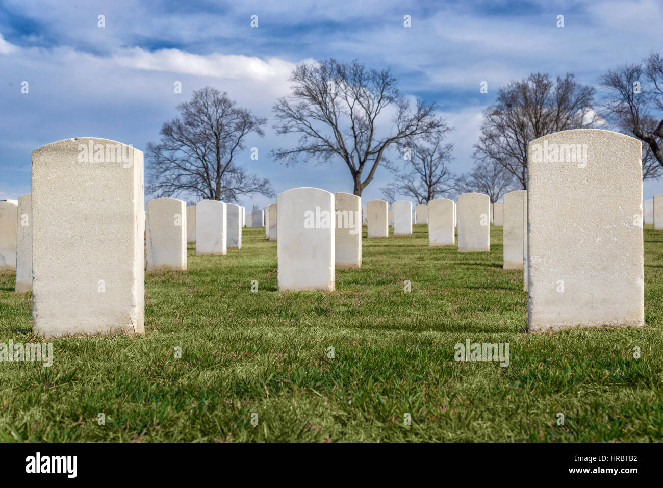 Righe di imponenti white lapidi in un Stati Uniti veterani del cimitero. Nomi e informazioni è stata rimossa per fare spazio per la copia. Foto Stock