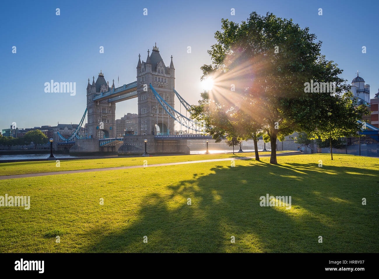 London, Regno Unito - iconico Tower Bridge al sorgere del sole al mattino con la luce del sole, albero, cielo blu e l'erba verde Foto Stock