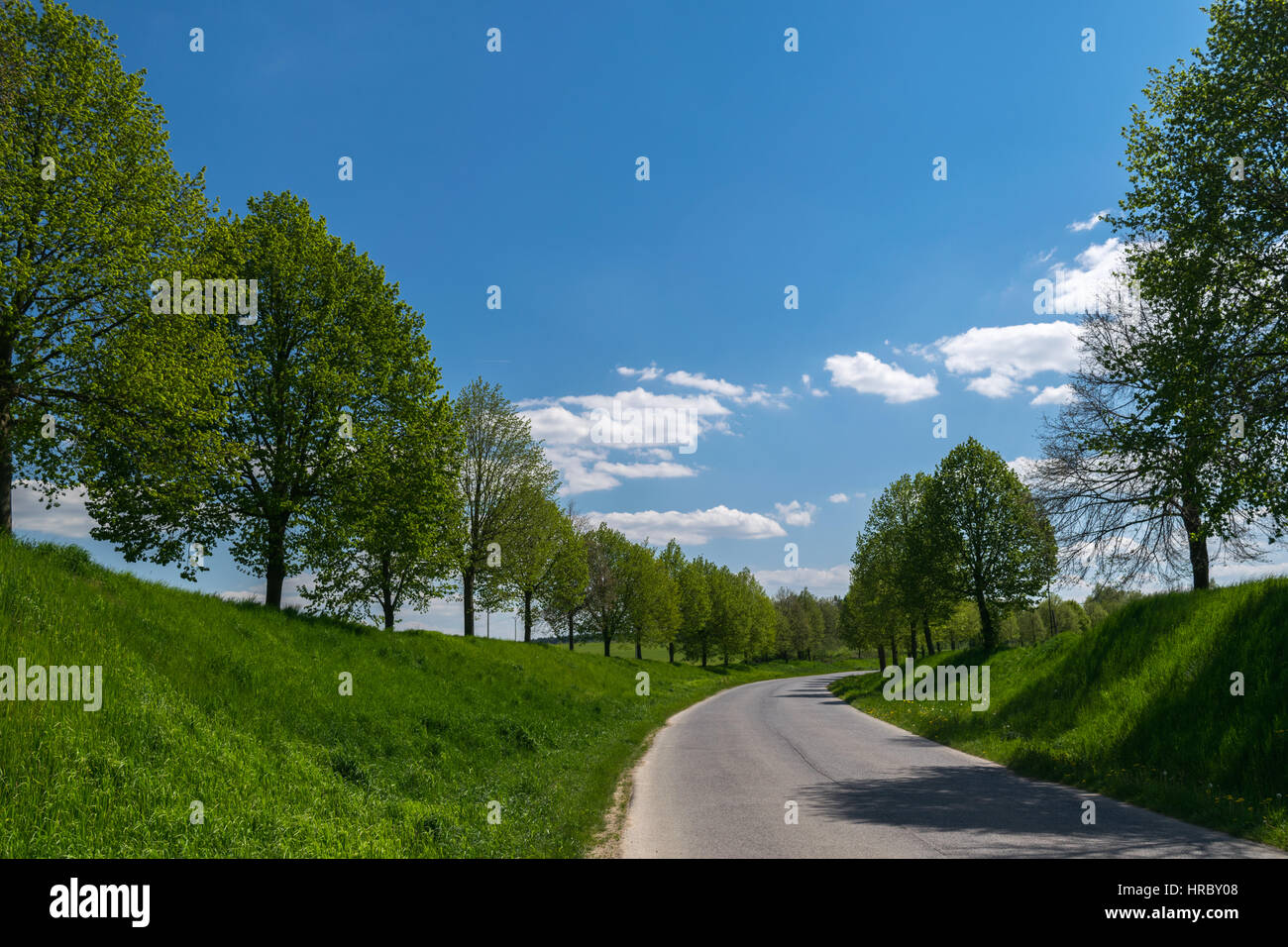 Campo in erba, Kokorinsko, Europa, Repubblica Ceca Foto Stock