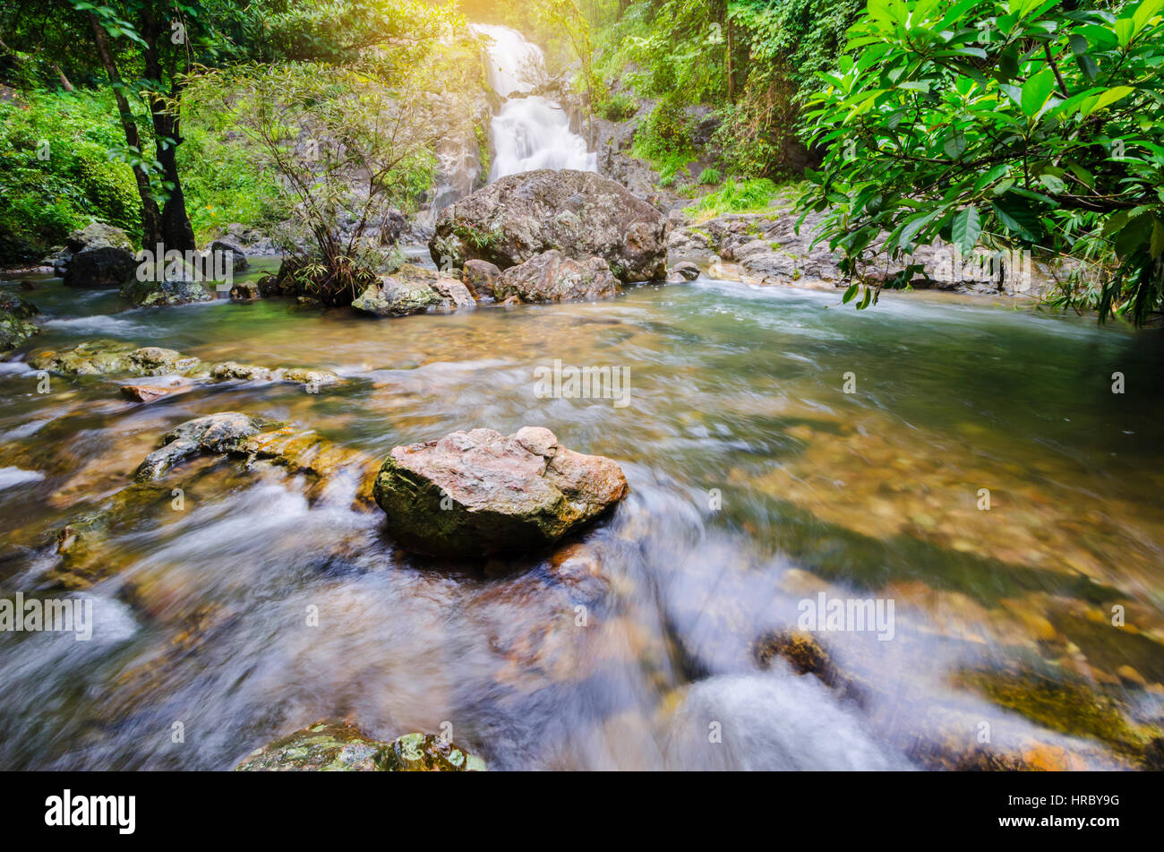 Deep Forest a cascata cascata Sarika Patrimonio Mondiale raccolta, Thailandia. Foto Stock