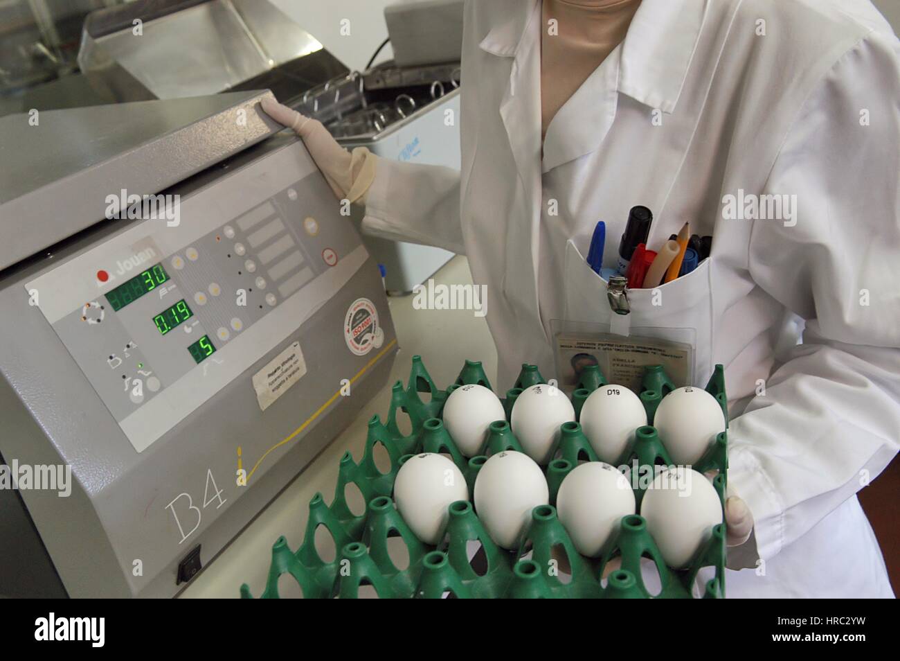 Zooprophyilactic istituto per la Lombardia e l'Emilia (talia), la ricerca scientifica sull'influenza aviaria Foto Stock