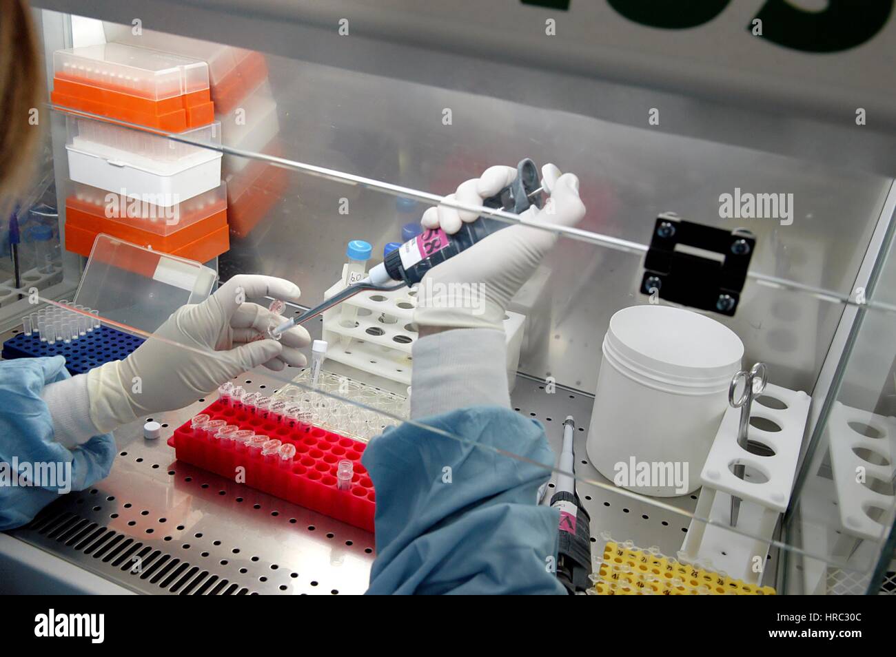 Zooprophyilactic istituto per la Lombardia e l'Emilia (talia), la ricerca scientifica sull'influenza aviaria Foto Stock