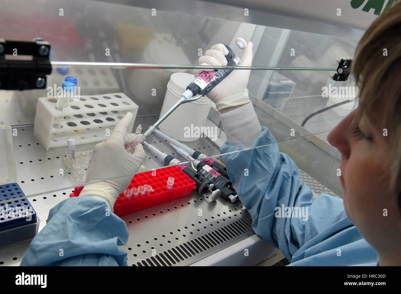 Zooprophyilactic istituto per la Lombardia e l'emilia (talia), analisi di uovo per la possibile contaminazione Foto Stock