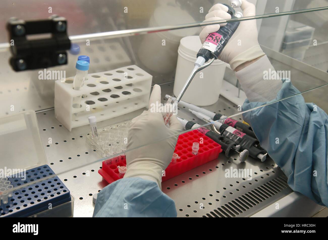 Zooprophyilactic istituto per la Lombardia e l'Emilia (talia), la ricerca scientifica sull'influenza aviaria Foto Stock