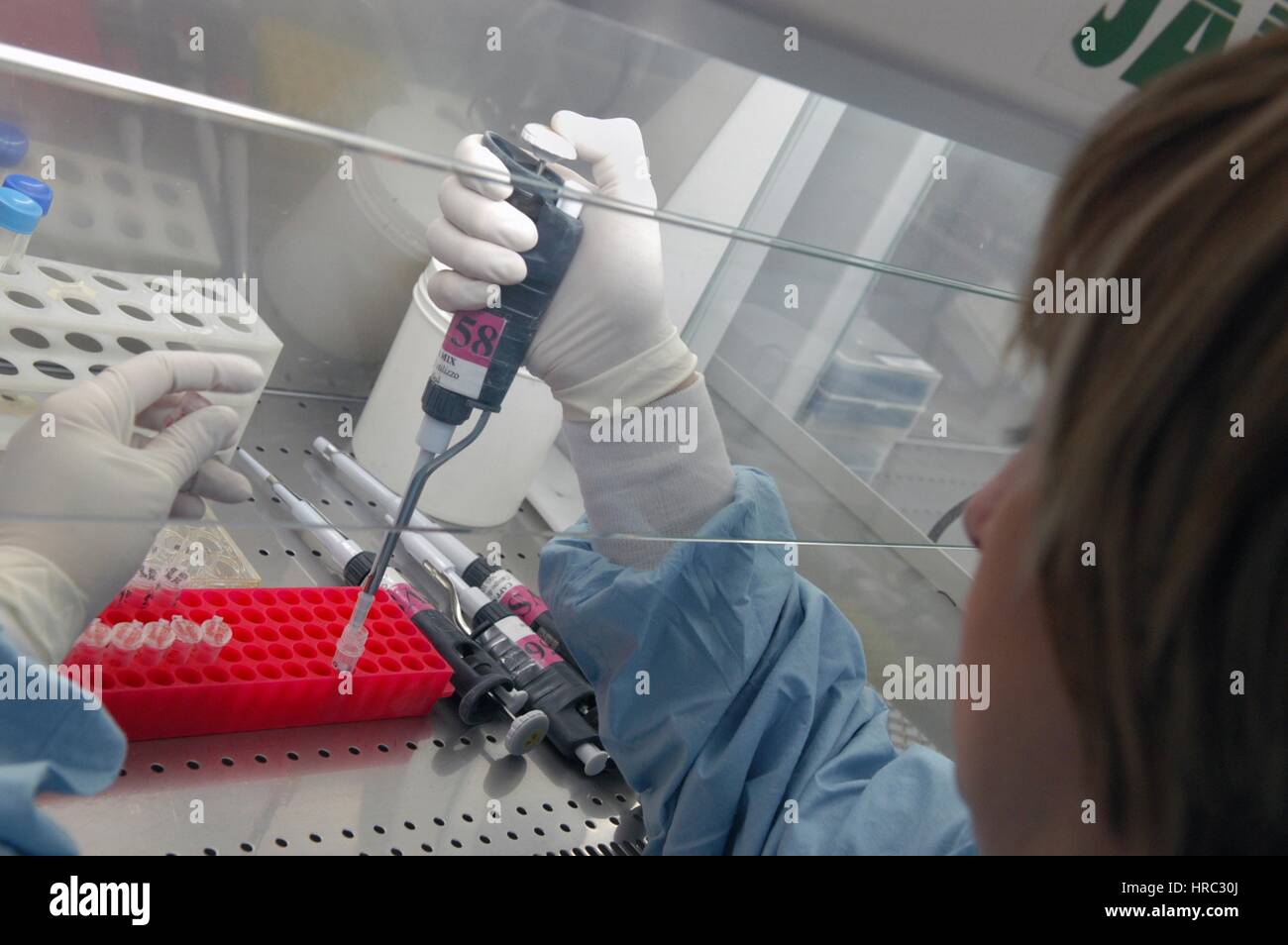 Zooprophyilactic istituto per la Lombardia e l'Emilia (talia), la ricerca scientifica sull'influenza aviaria Foto Stock