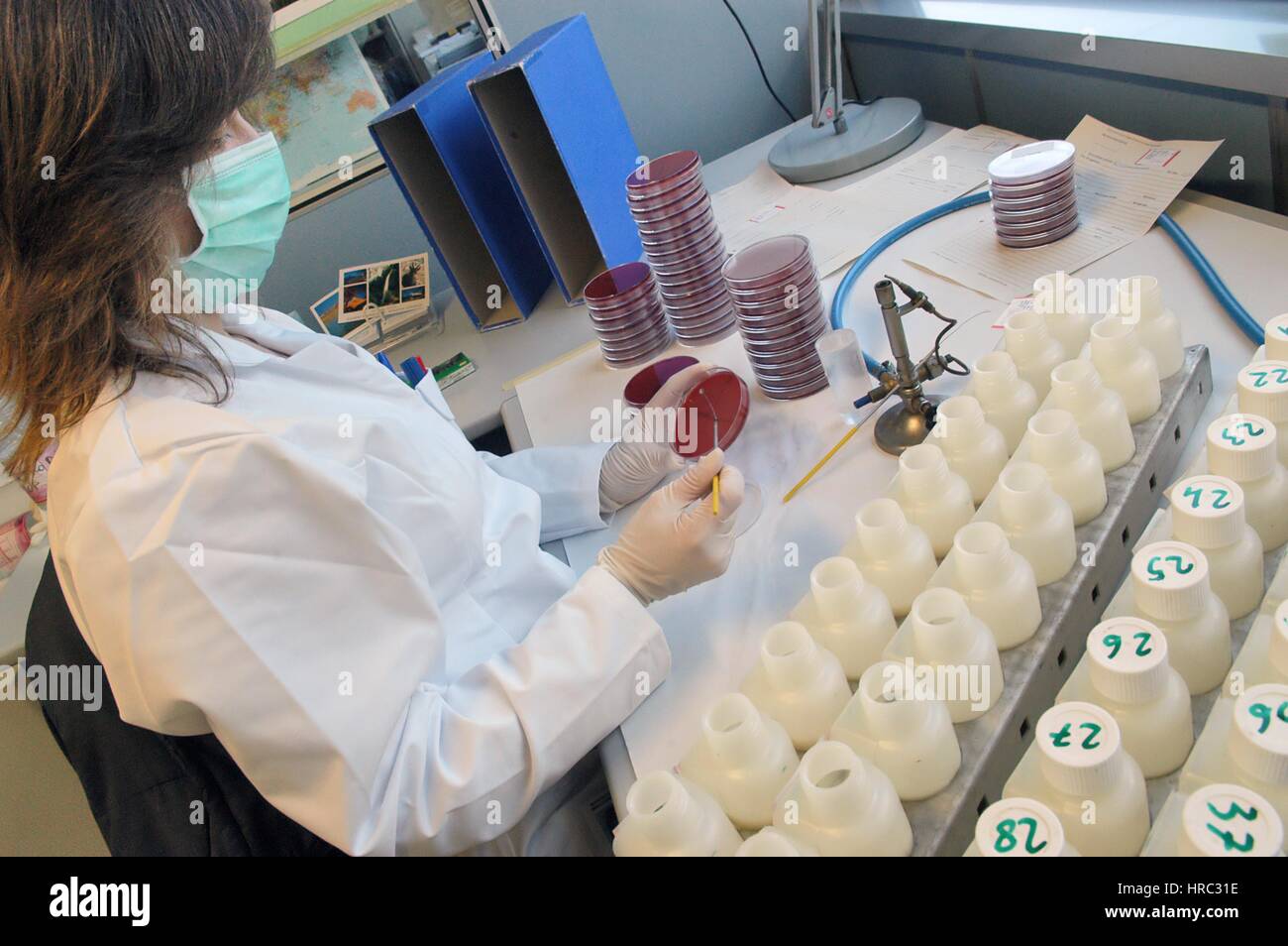 Zooprophyilactic istituto per la Lombardia e l'Emilia (talia), analisi di campioni di latte Foto Stock