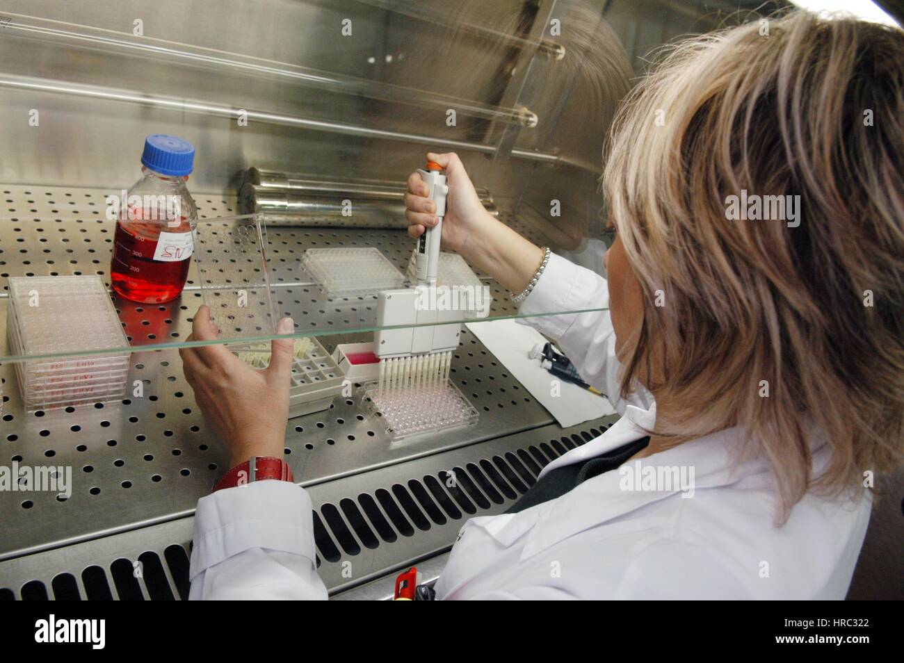 Zooprophyilactic istituto per la Lombardia e l'Emilia (talia), la ricerca scientifica sull'influenza aviaria Foto Stock