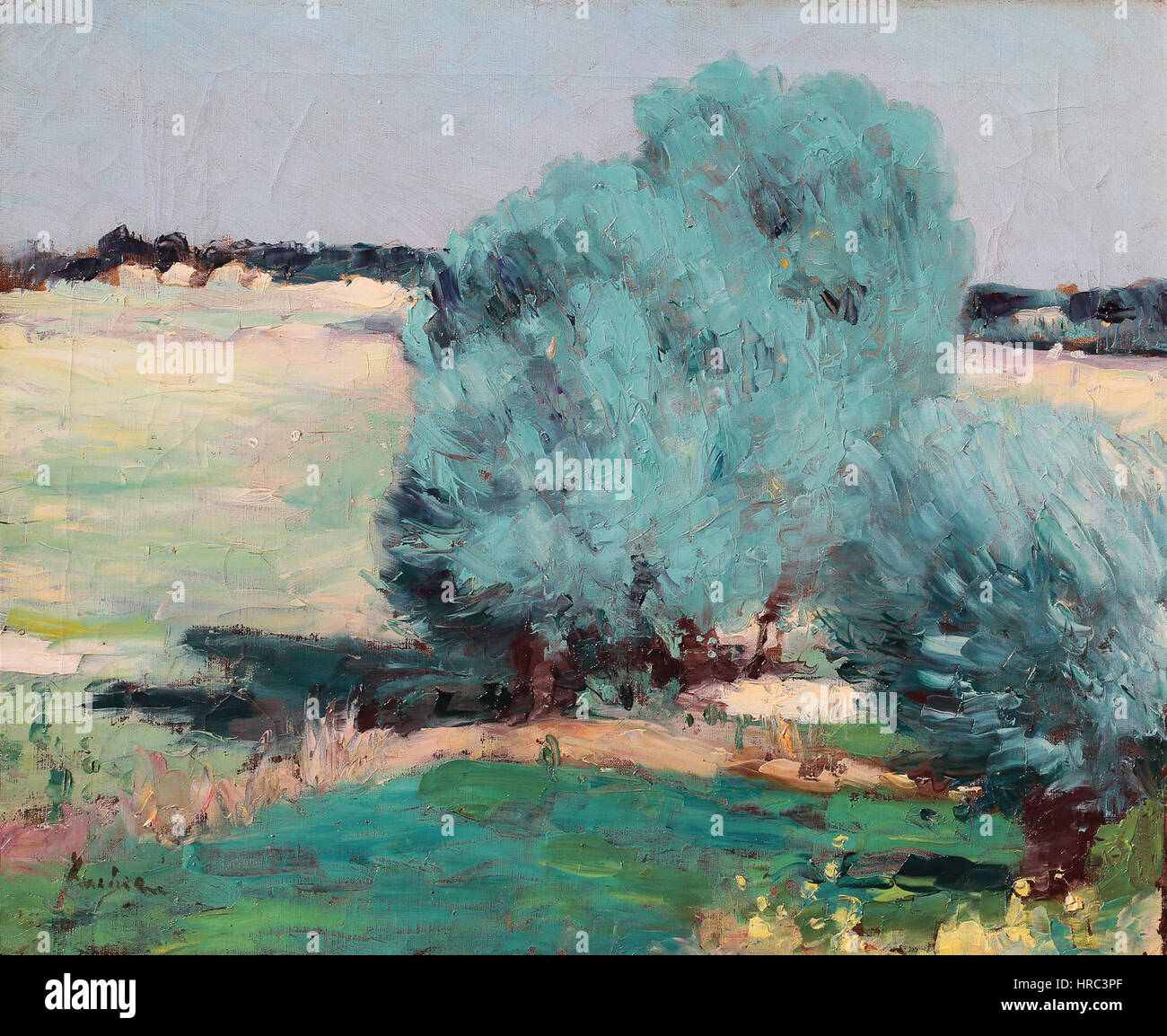 Din Salciile Chiajna-Stefan Luchian Foto Stock