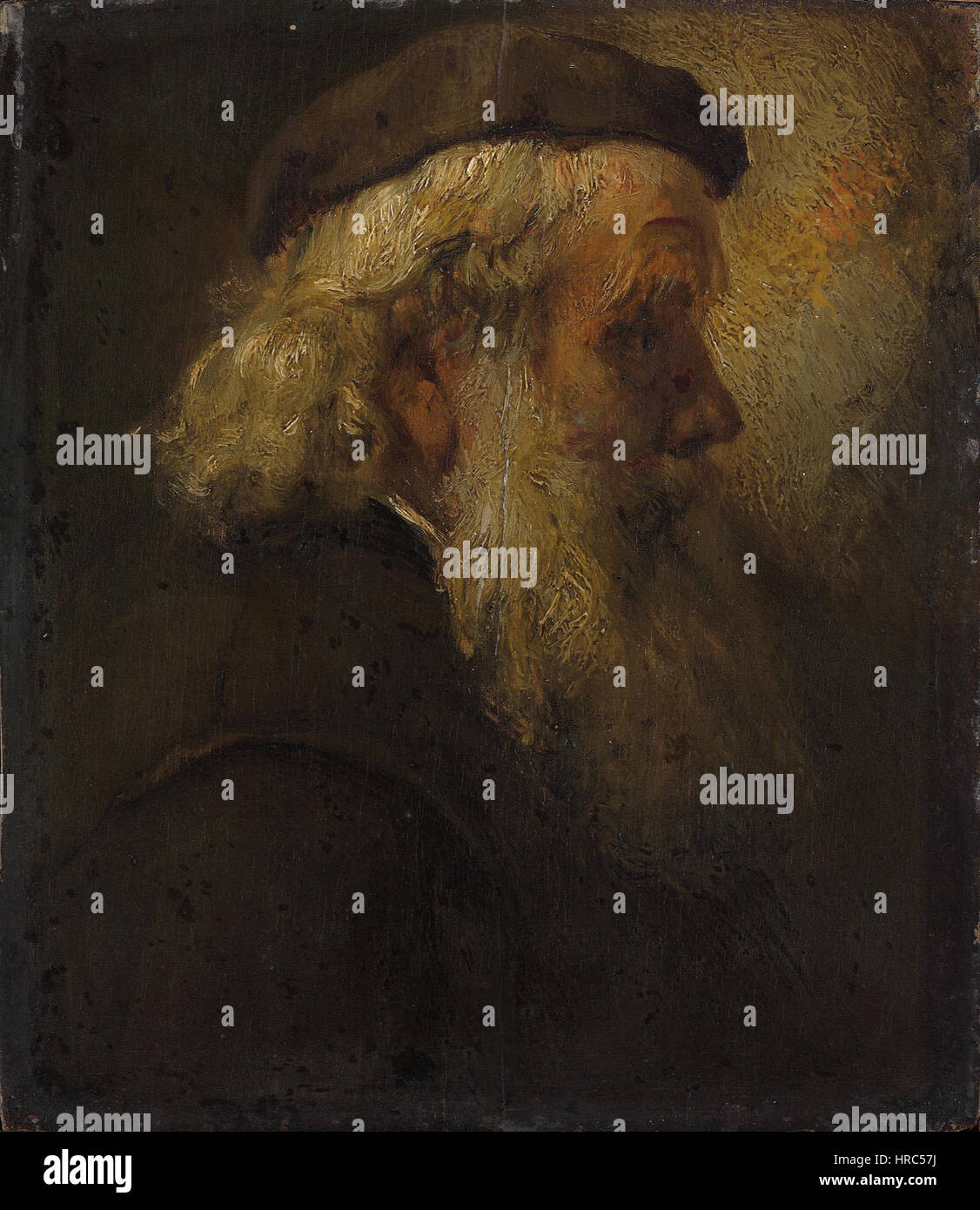 Rembrandt - testa di un vecchio uomo barbuto in berretto, visto di profilo Foto Stock