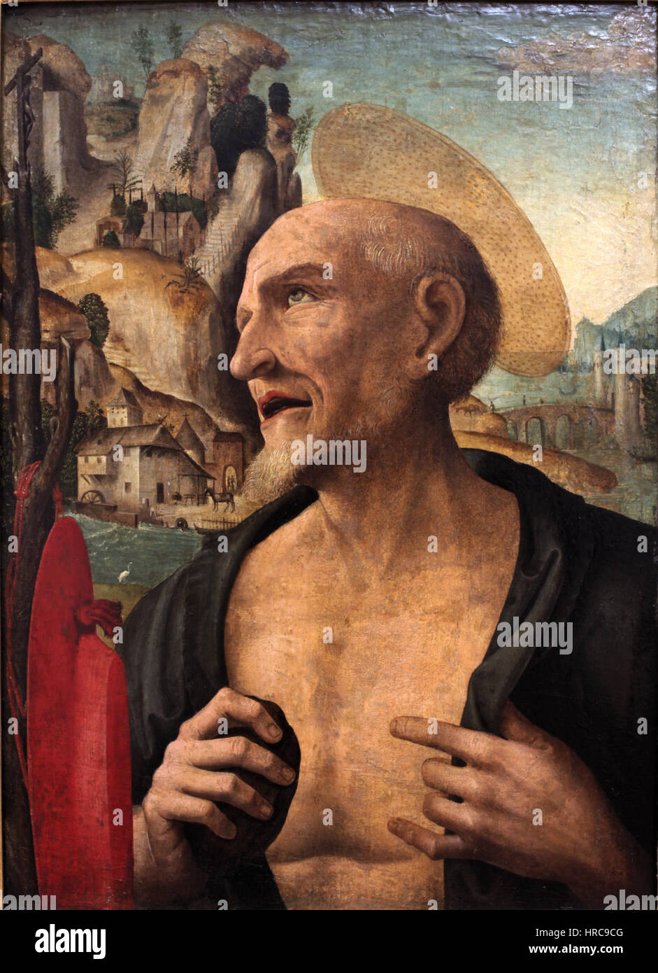 San Girolamo penitente-Giovanni Francesco Maineri-MBA Lyon X786A-IMG 0300 Foto Stock