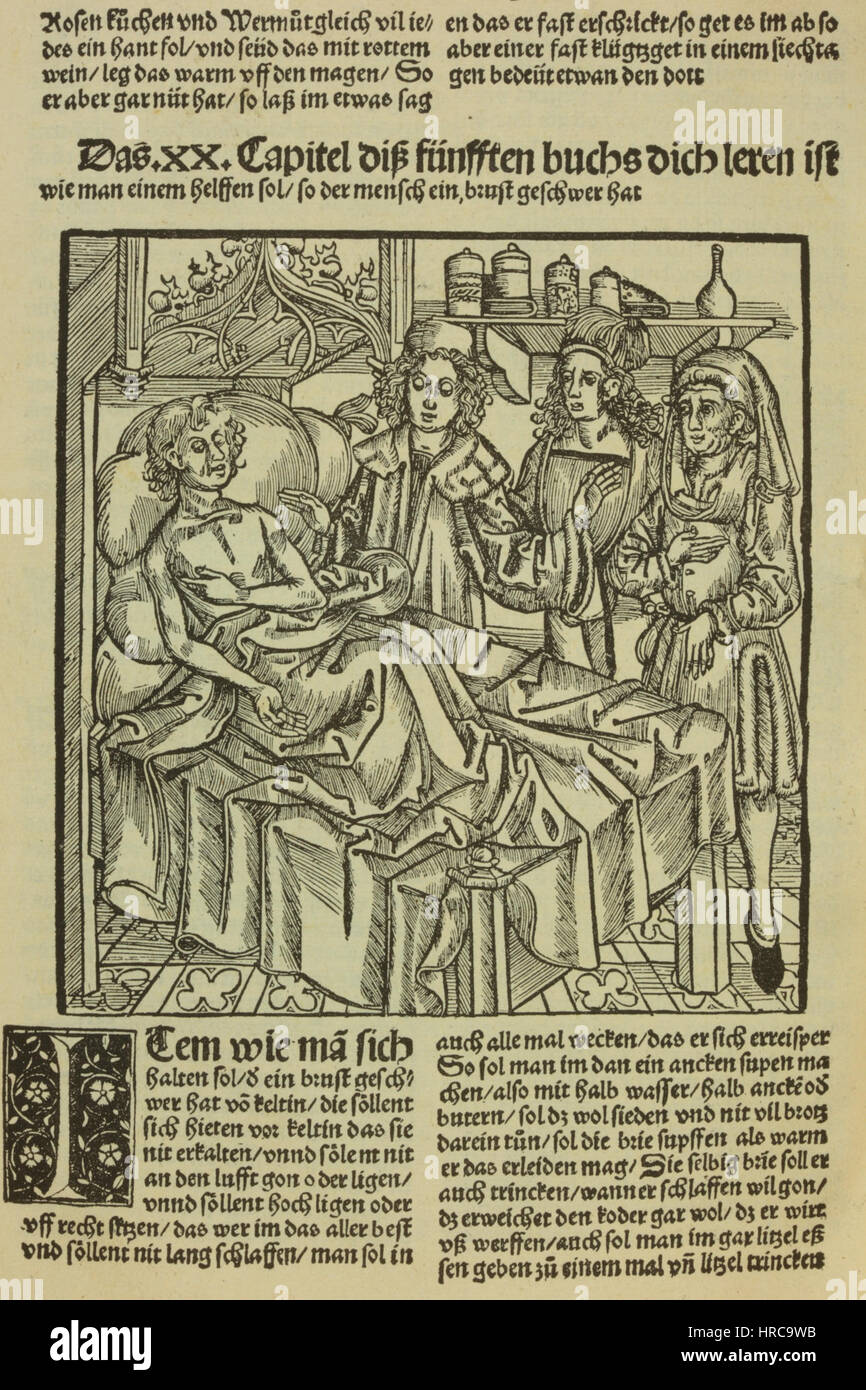 Hieronymus Brunschwig Liber de arte Distillandi 299 verso AQ10 (1) Foto Stock