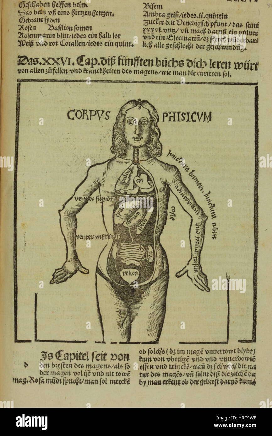 Liber de arte Distillandi di Hieronymus Brunschwig è un manoscritto del XVI secolo che parla dell'arte della distillazione. Il libro fornisce illustrazioni dettagliate e testo sul processo di distillazione durante il Rinascimento. Foto Stock